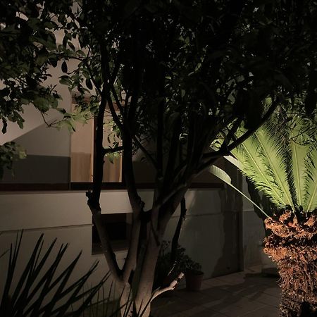 Tap Apartments - In Independent House With Private Garden Alghero Exteriér fotografie