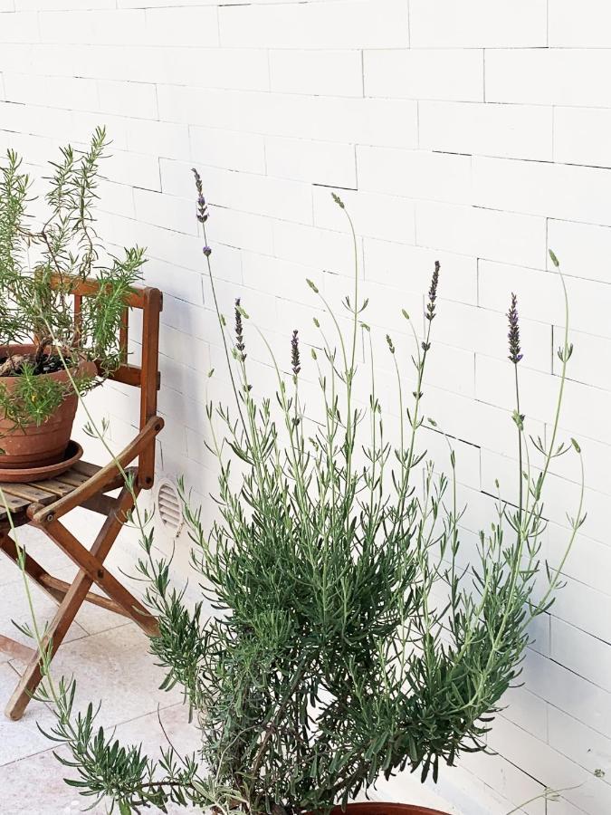 Tap Apartments - In Independent House With Private Garden Alghero Exteriér fotografie