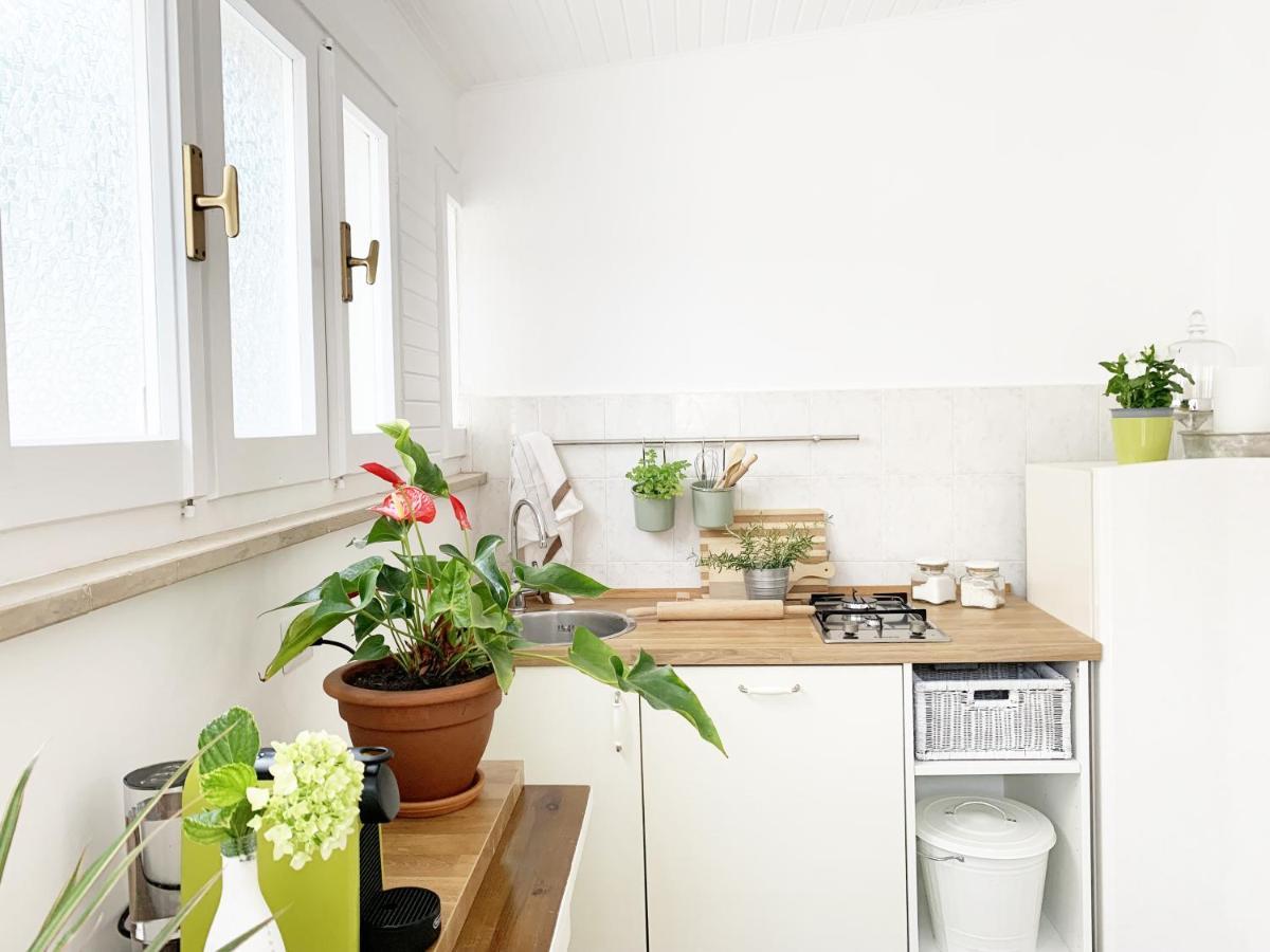 Tap Apartments - In Independent House With Private Garden Alghero Exteriér fotografie