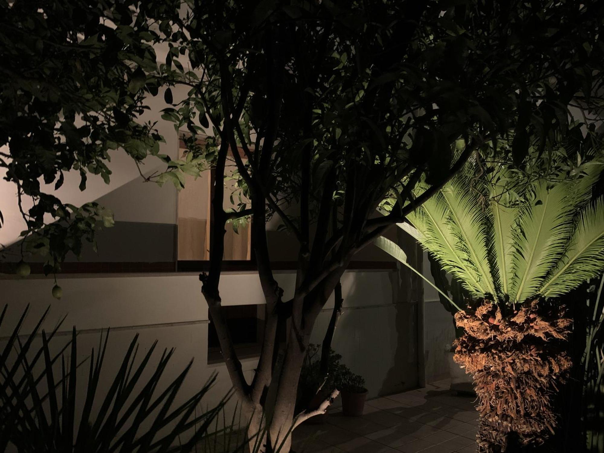 Tap Apartments - In Independent House With Private Garden Alghero Exteriér fotografie
