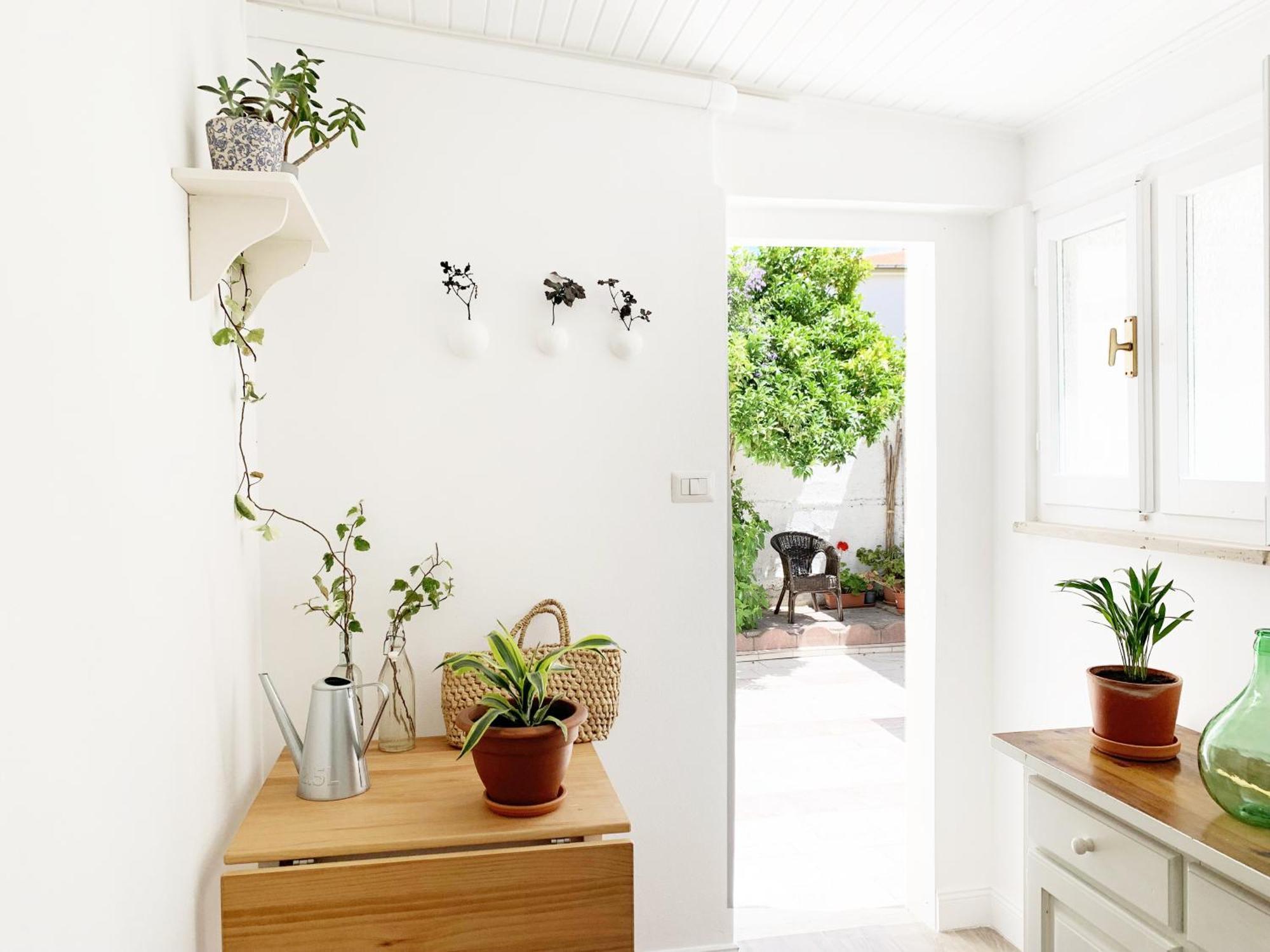 Tap Apartments - In Independent House With Private Garden Alghero Exteriér fotografie
