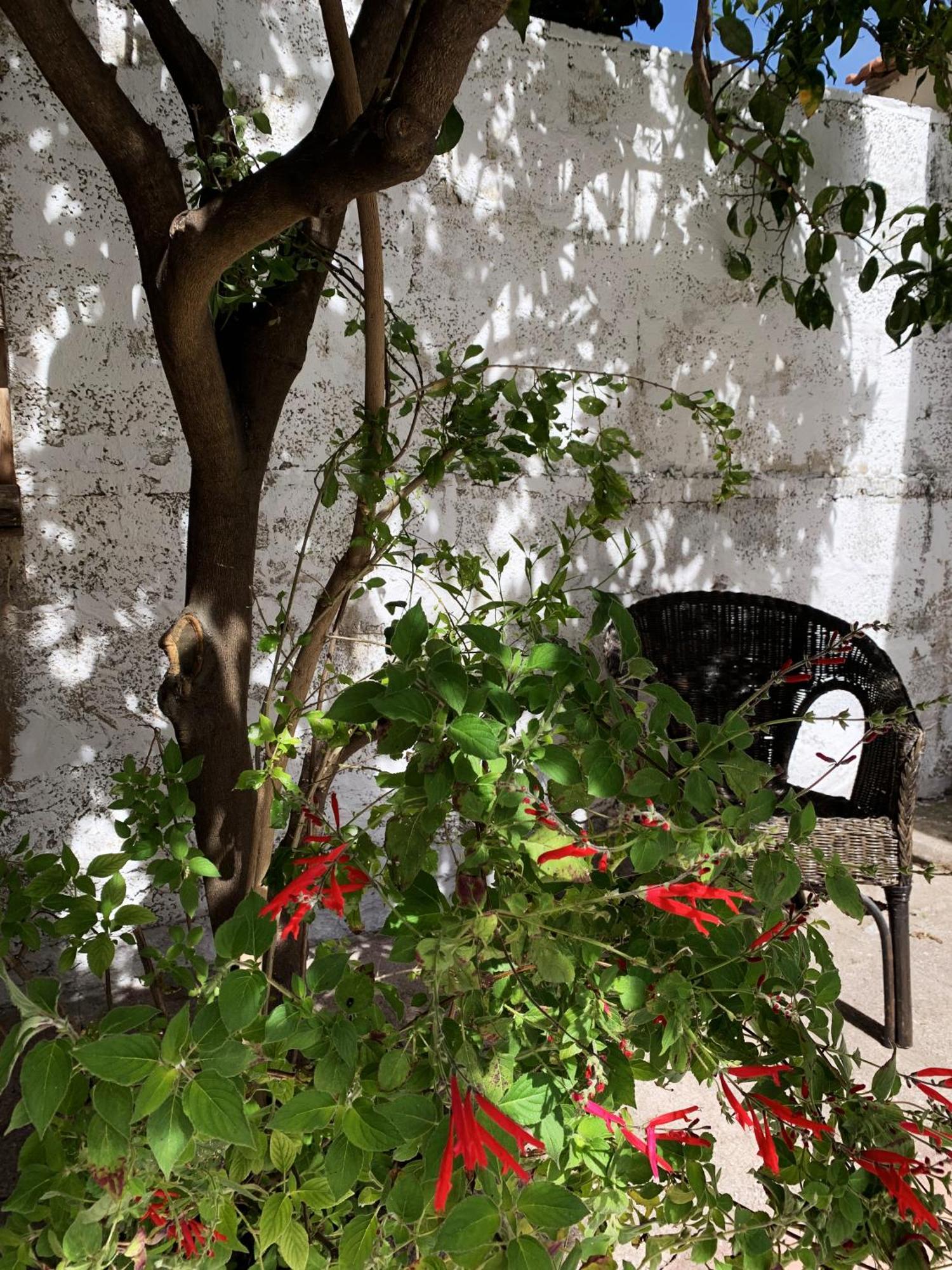 Tap Apartments - In Independent House With Private Garden Alghero Exteriér fotografie