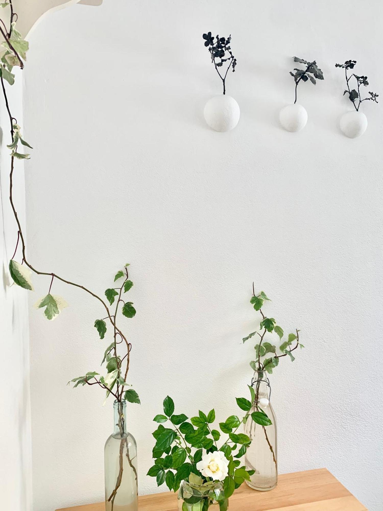 Tap Apartments - In Independent House With Private Garden Alghero Exteriér fotografie